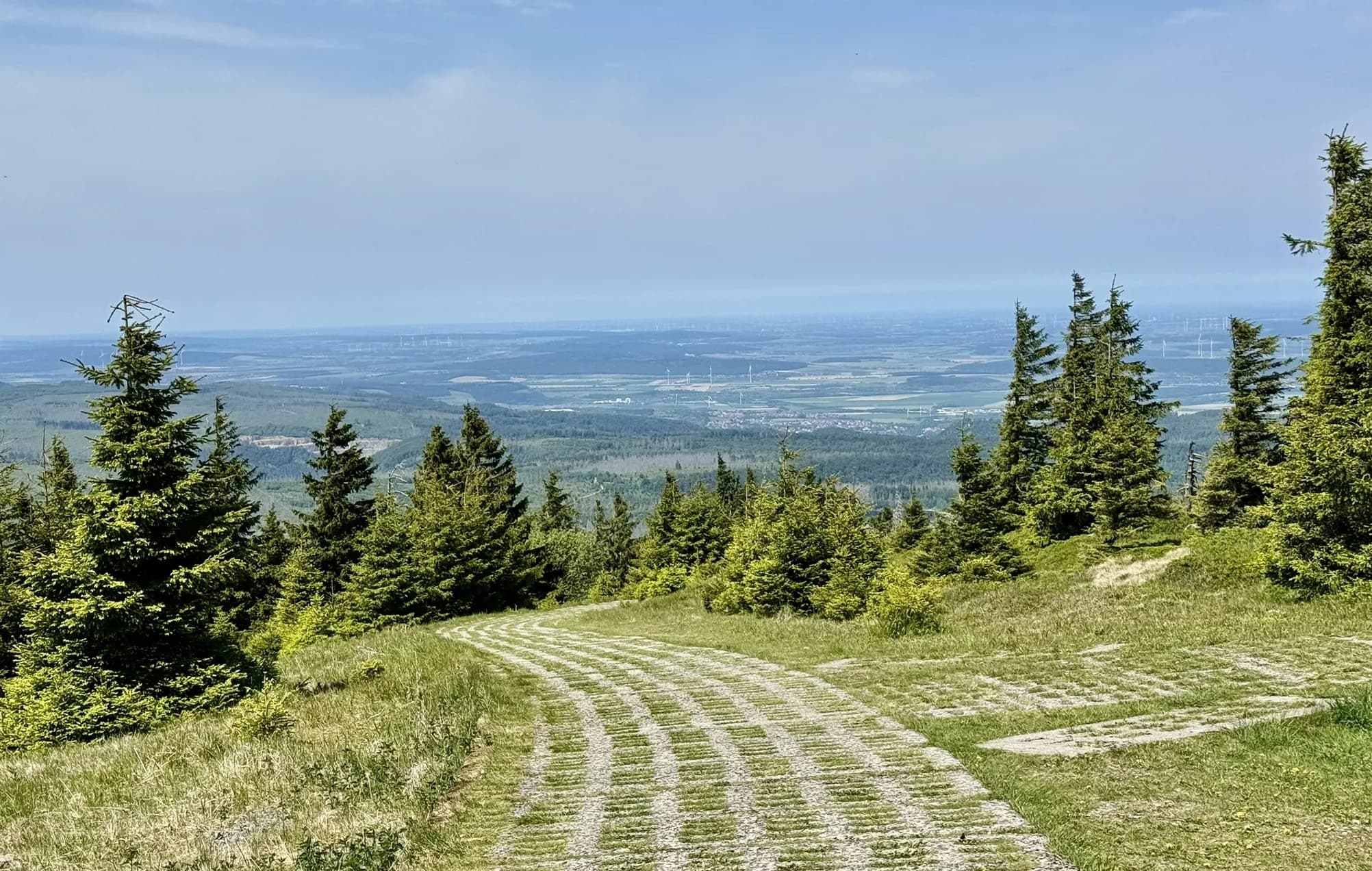 A grass and stone track descending through spruce forest on the upper slopes of the Brocken, looking north over the wooded Harz foothills to the wind farms of the lowland plain beyond