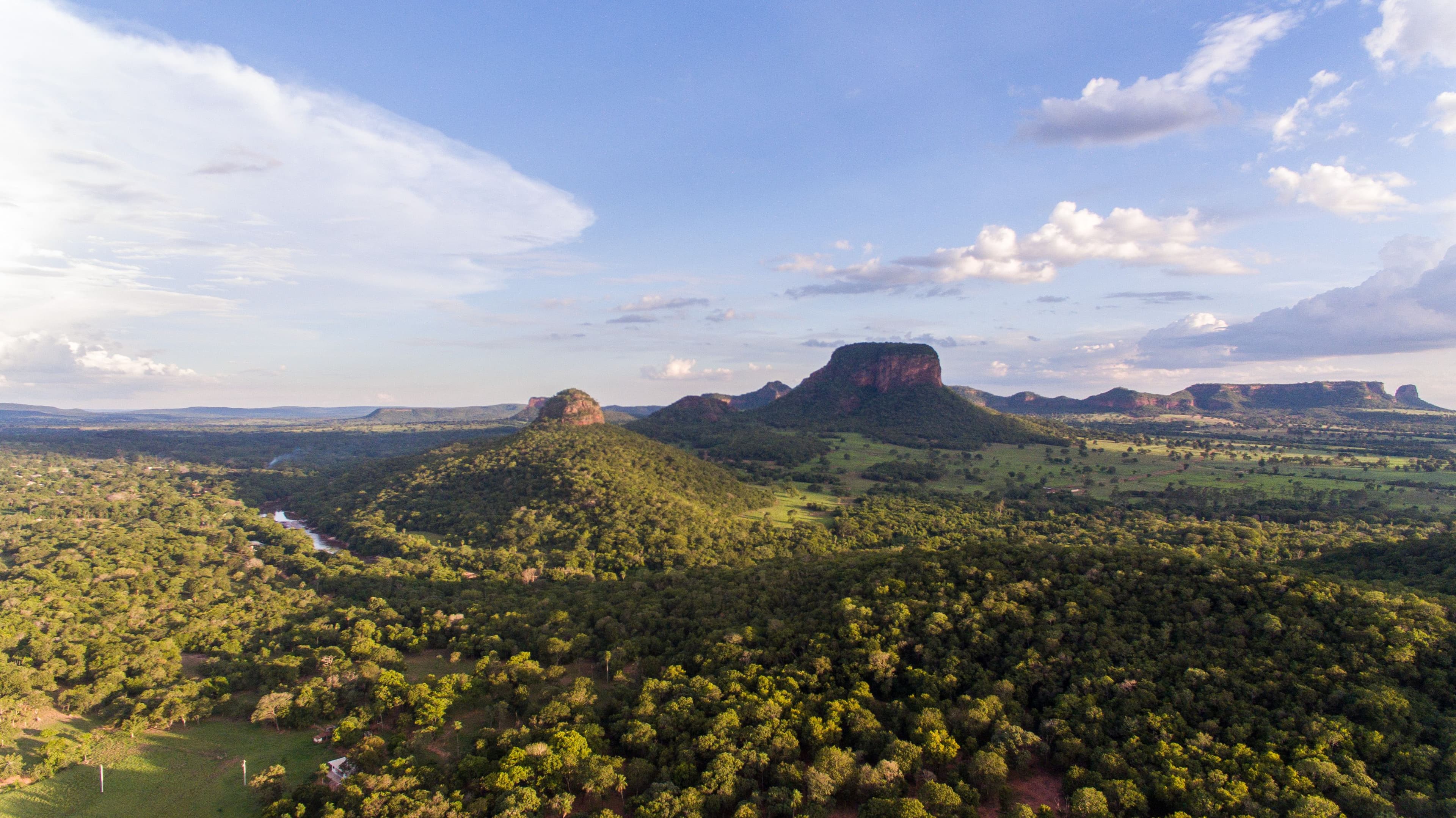 Flat-topped sandstone hills rising above green forest and open ground under a blue sky in Mato Grosso do Sul