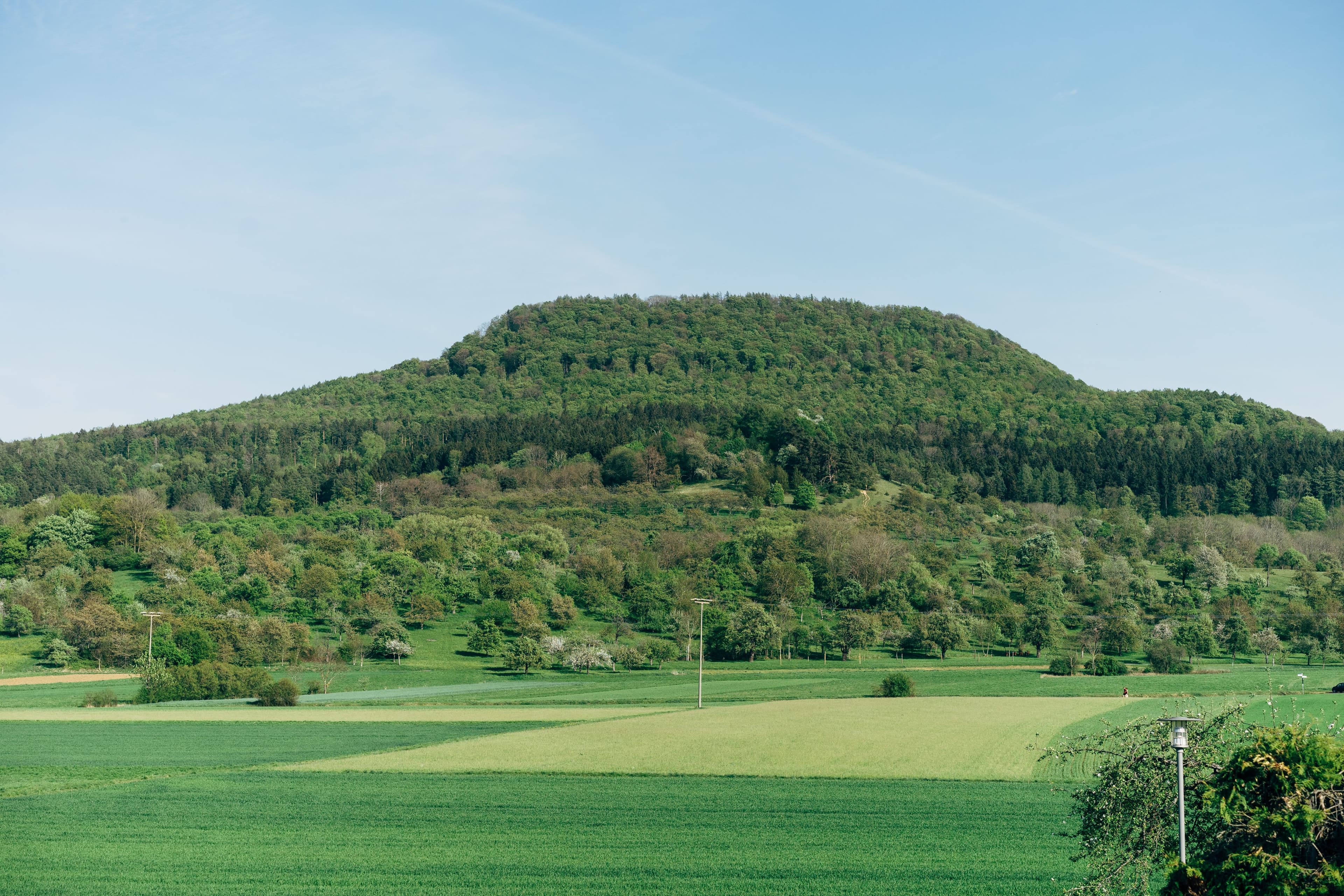 A rounded, densely wooded hill rising above orchard meadows and green fields in the German mid-mountains, the kind of forested upland terrain the Drei-Talsperren-Marathon crosses