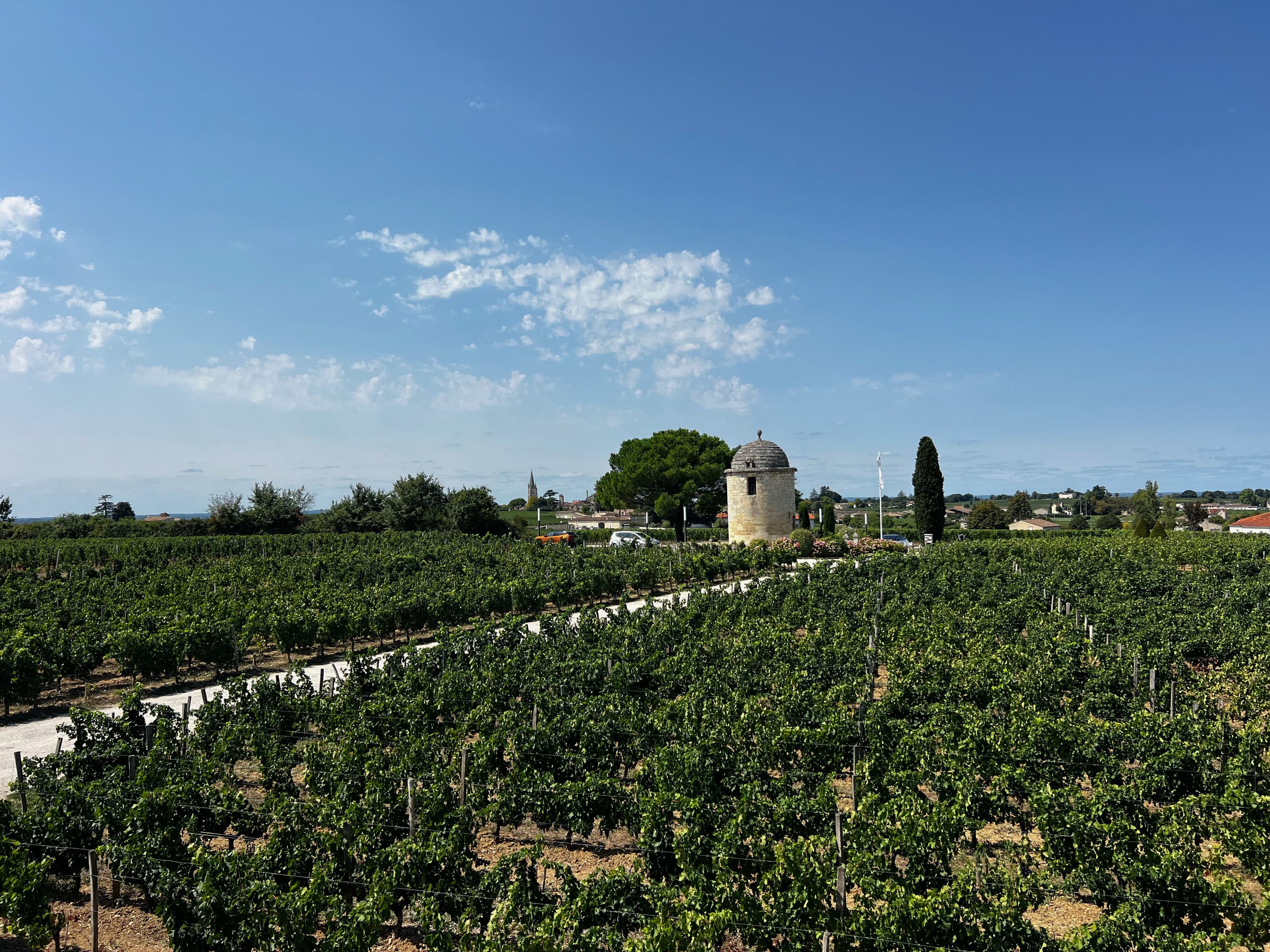 Rows of vines in the Pauillac wine country of the Médoc, with a white gravel track between them, a round stone tower with a domed roof, a cypress and a village church spire under a clear late-summer sky