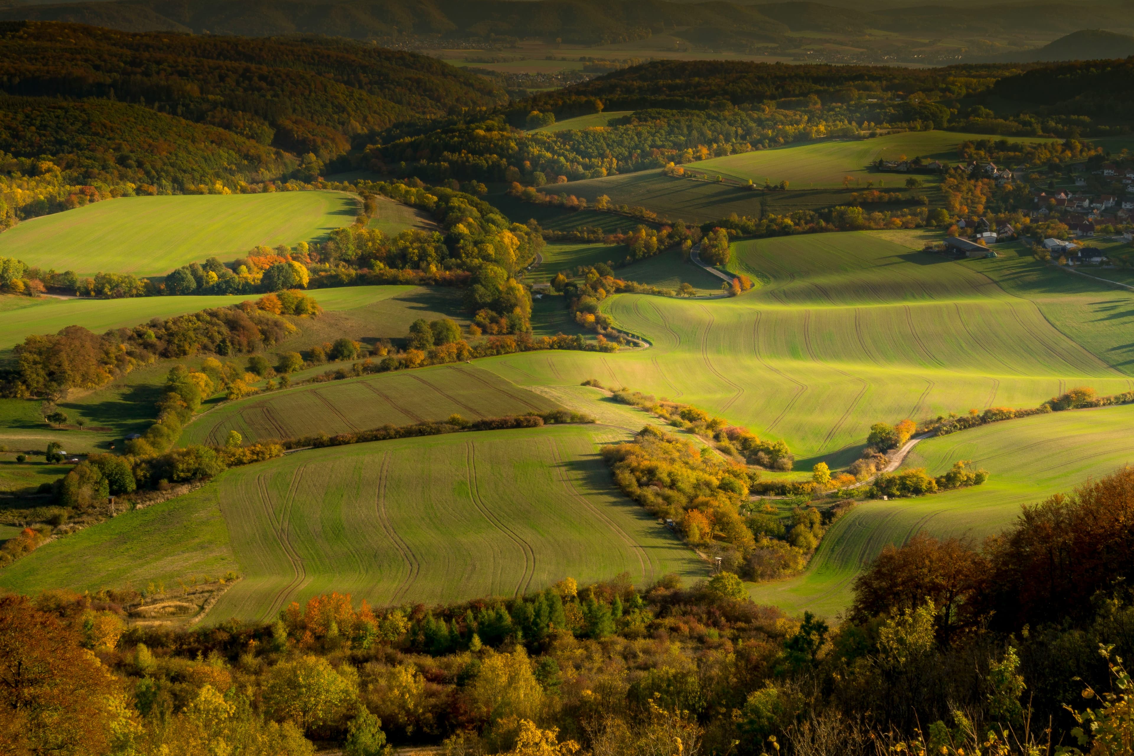 Wooded ridges and rolling farmland of the Thuringian Forest under low sun, with a village on the valley edge. The marathon crosses this landscape for 42.2 km from Neuhaus am Rennweg to Schmiedefeld am Rennsteig.