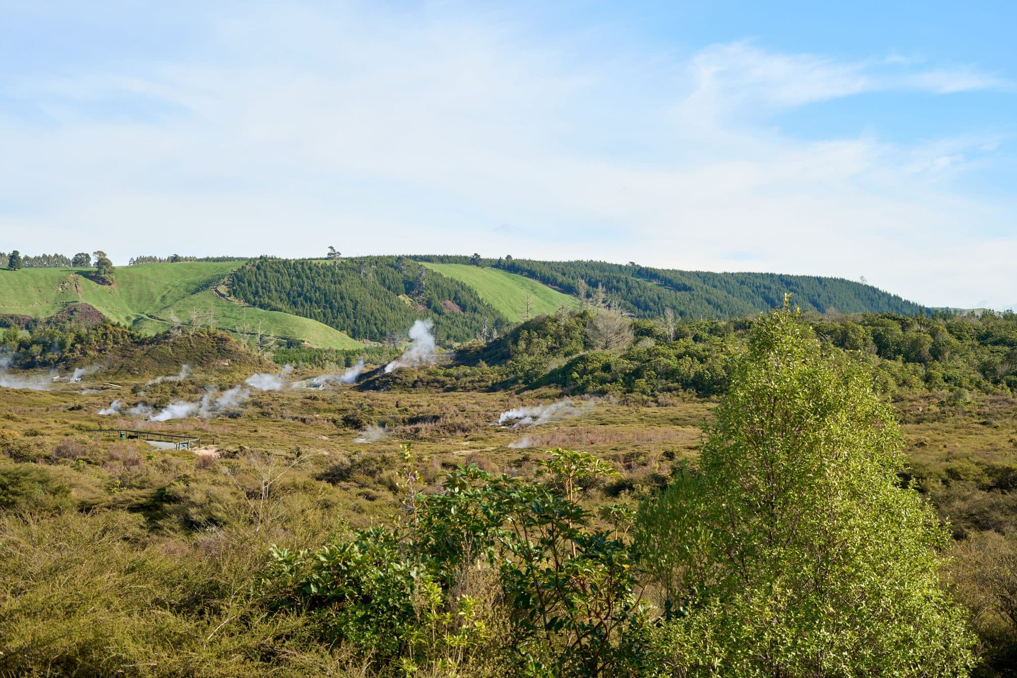 Steam rising from geothermal ground below green forested hills in the Taupō volcanic zone on the central North Island