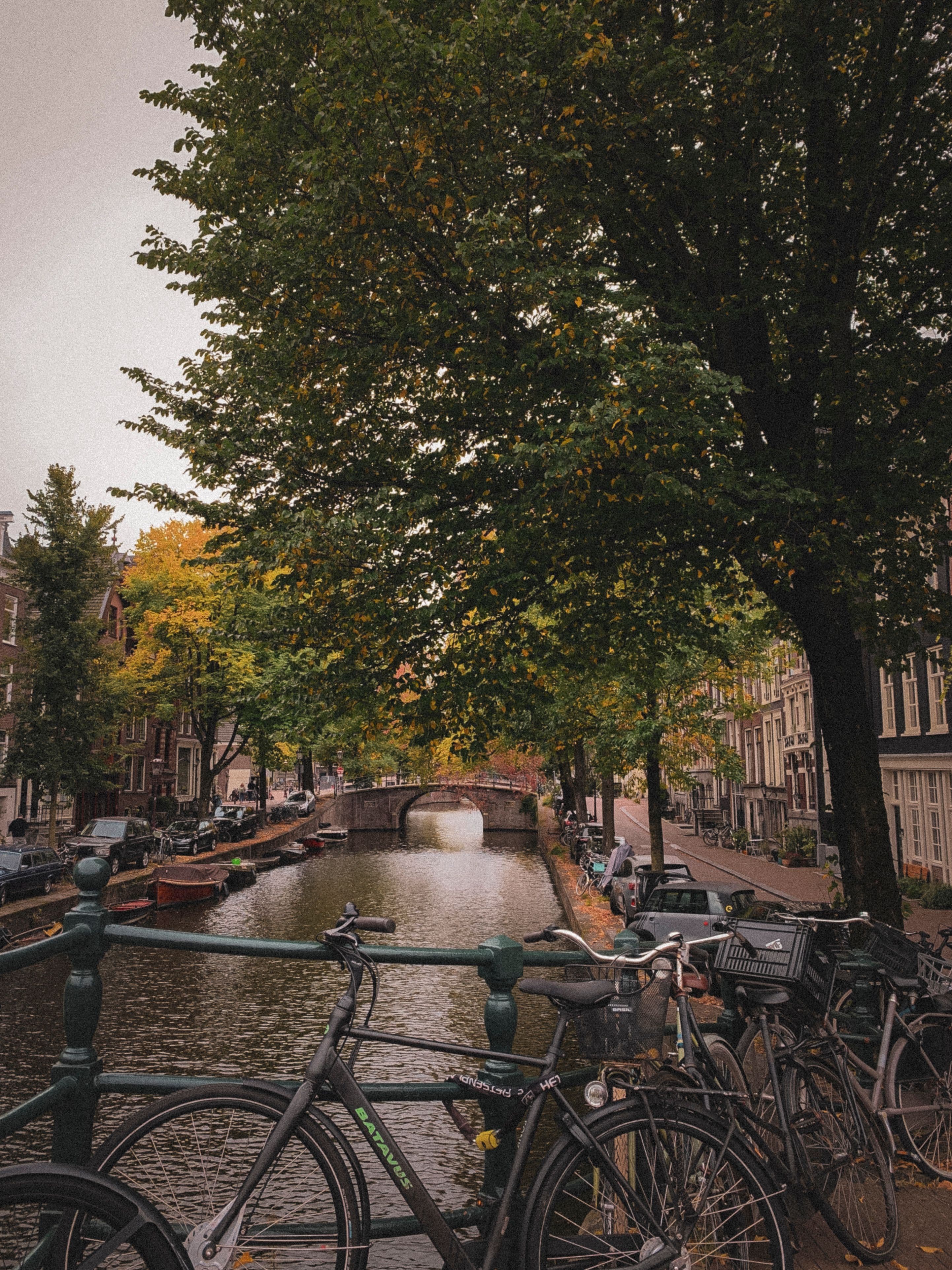 An Amsterdam canal in autumn, bicycles parked on a bridge railing with a stone arch bridge and canalside trees turning colour