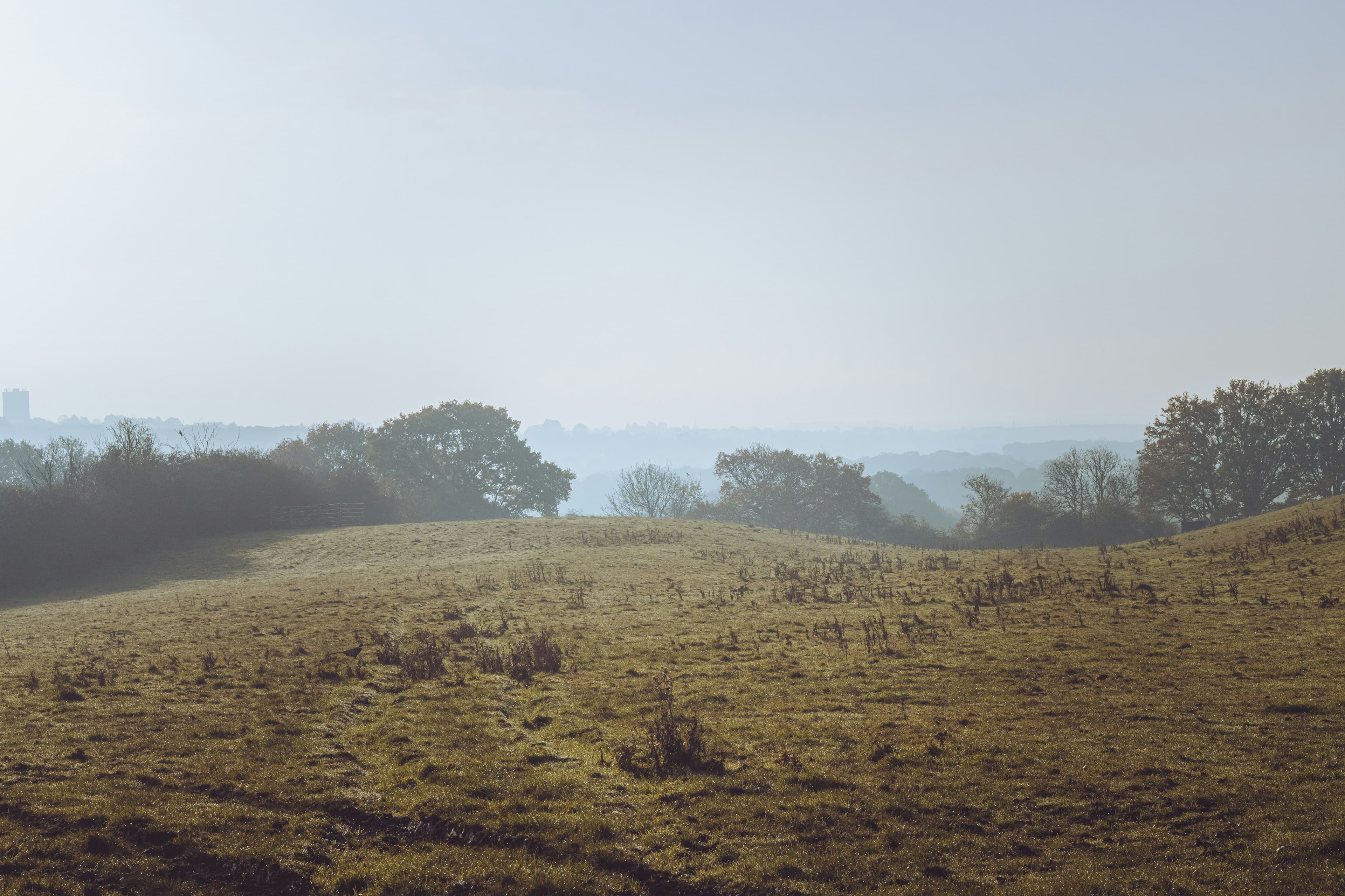 Misty undulating Essex countryside, illustrative of the rural country lanes the Chelmsford Marathon's middle miles run through (general Essex landscape, not the exact course route)