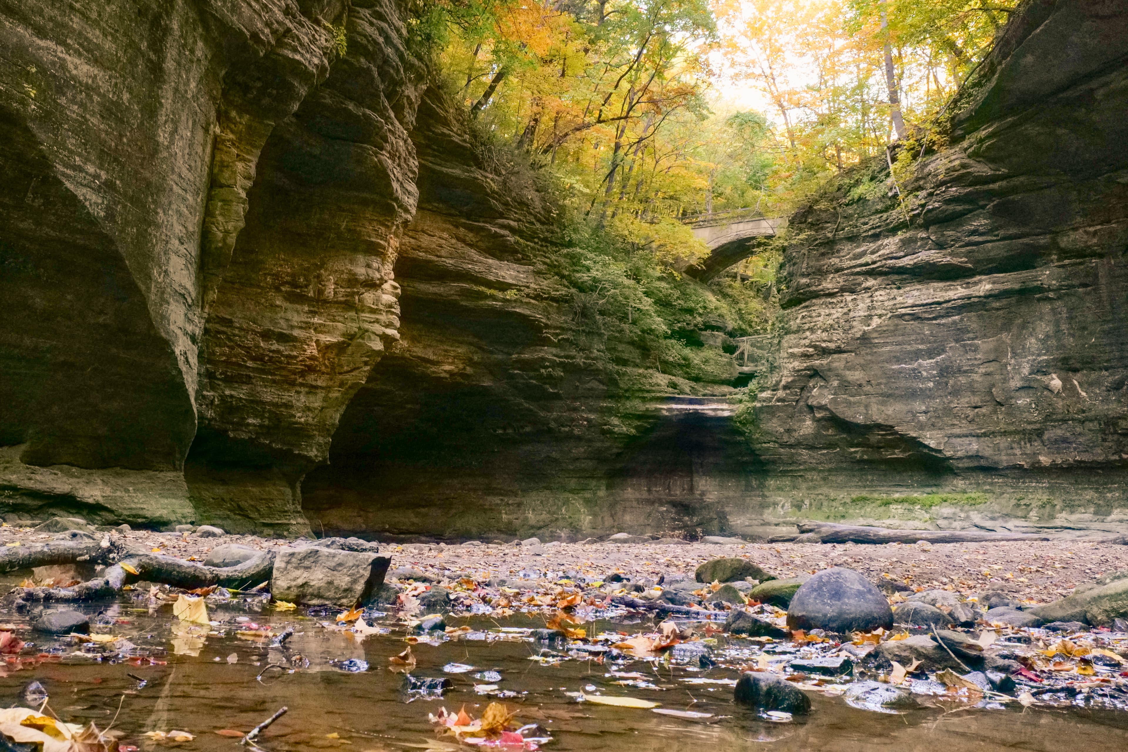 The lower dells canyon at Matthiessen State Park, Illinois, a shallow rocky stream bed running between layered St Peter sandstone walls, yellow and green autumn trees visible at the canyon top