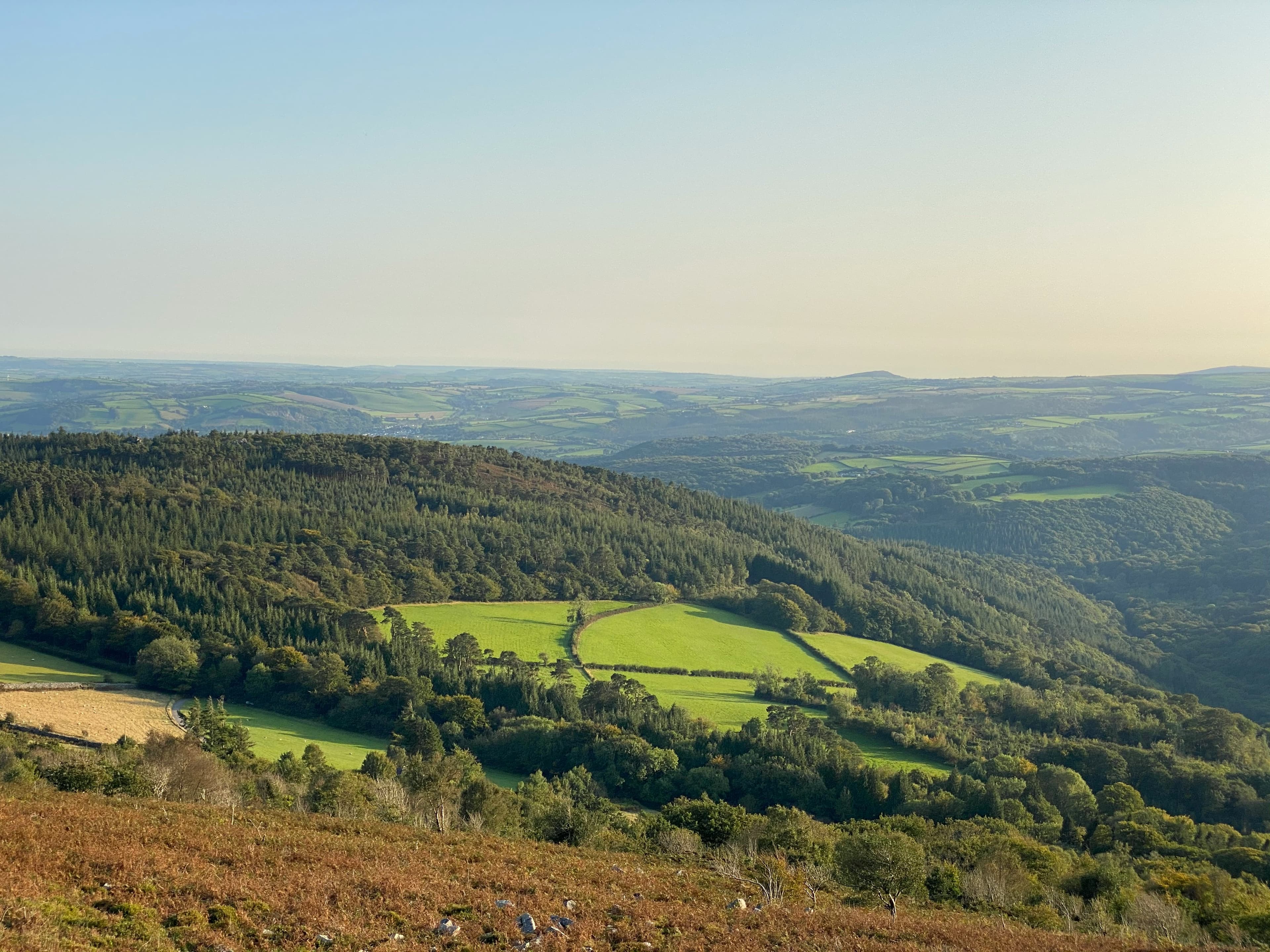 Open moorland and forested valleys on Dartmoor National Park, near the Dartmoor Marathon route from Tavistock
