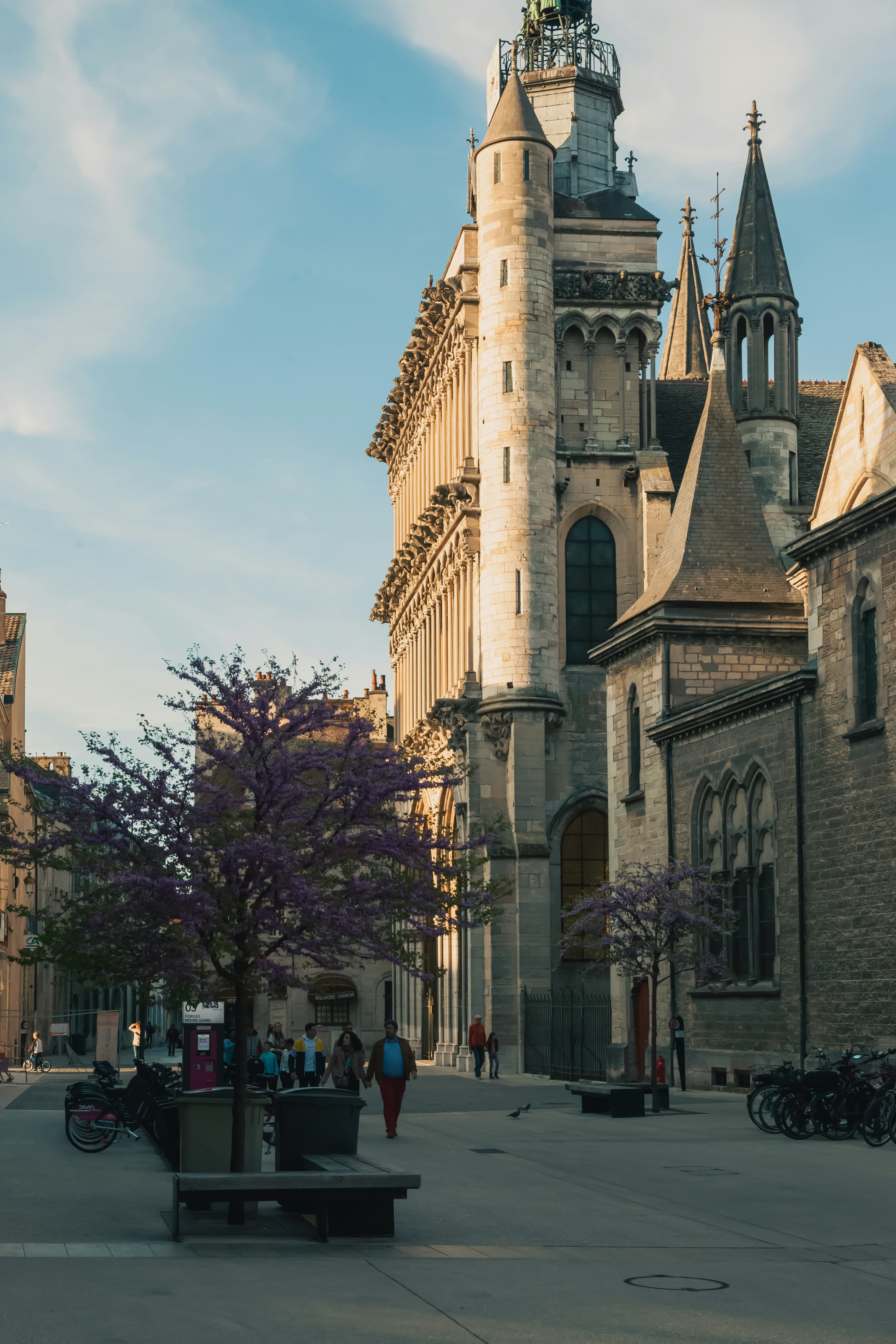 The west front of the Église Notre-Dame in Dijon, its tiers of carved gargoyles and the Jacquemart clock tower catching the light above a square planted with purple-flowering trees.