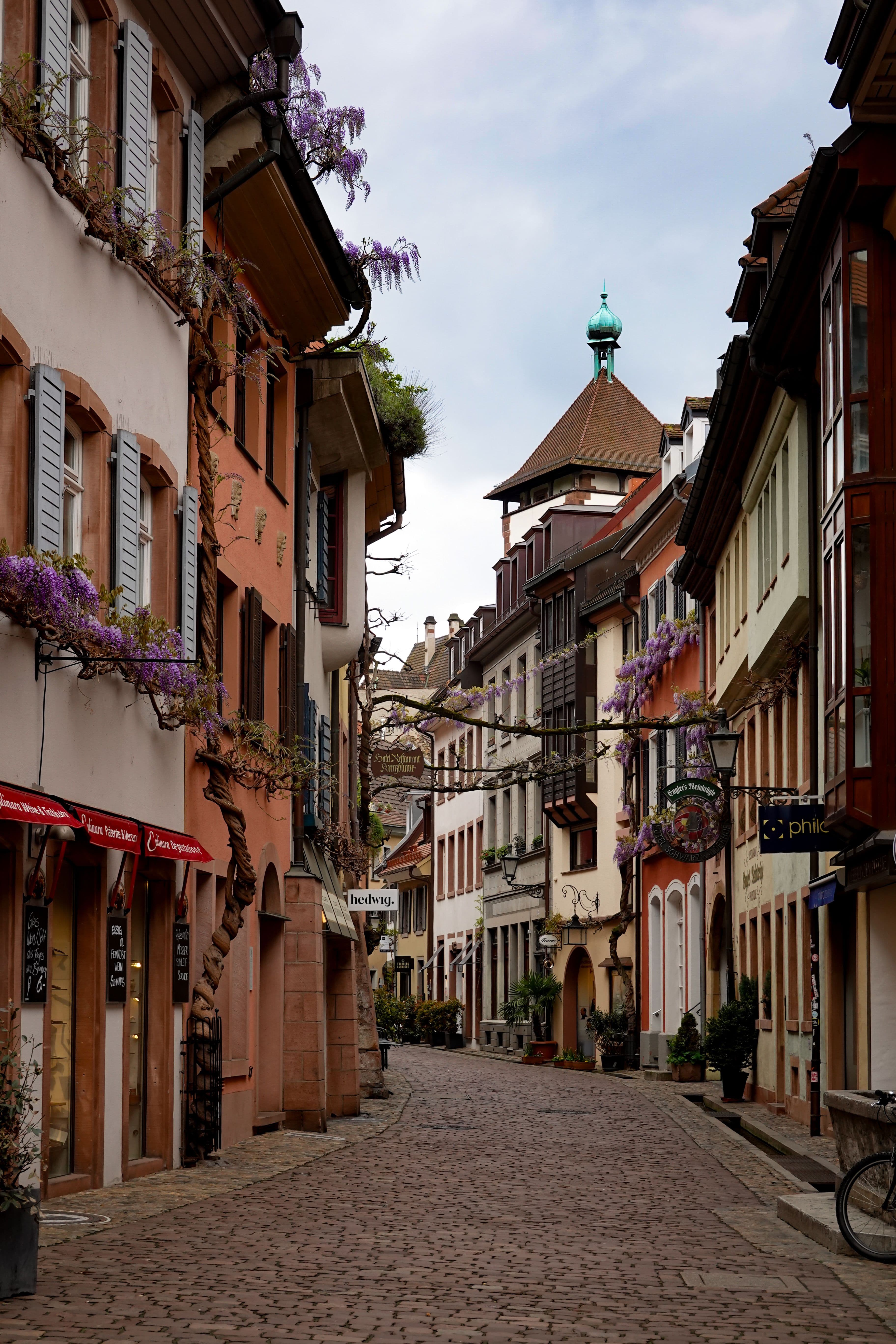 A cobbled lane in Freiburg's Altstadt under trained wisteria, looking toward the Schwabentor. The marathon's old-town section runs on surfaces like this, which the organiser lists alongside asphalt.