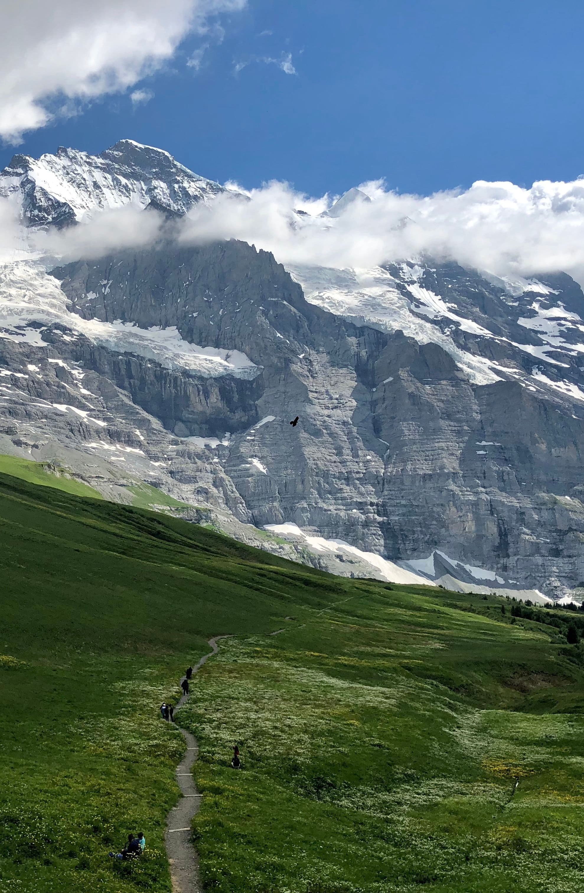 A steep Bernese Oberland mountain face rising above the Lauterbrunnen valley, part of the terrain the marathon course climbs through