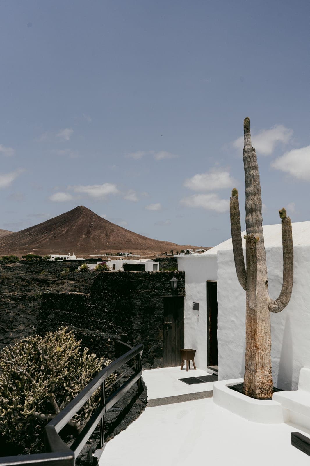 A whitewashed Lanzarote building with a tall cactus against a blue sky and a volcanic cone behind, in the local style shaped by César Manrique
