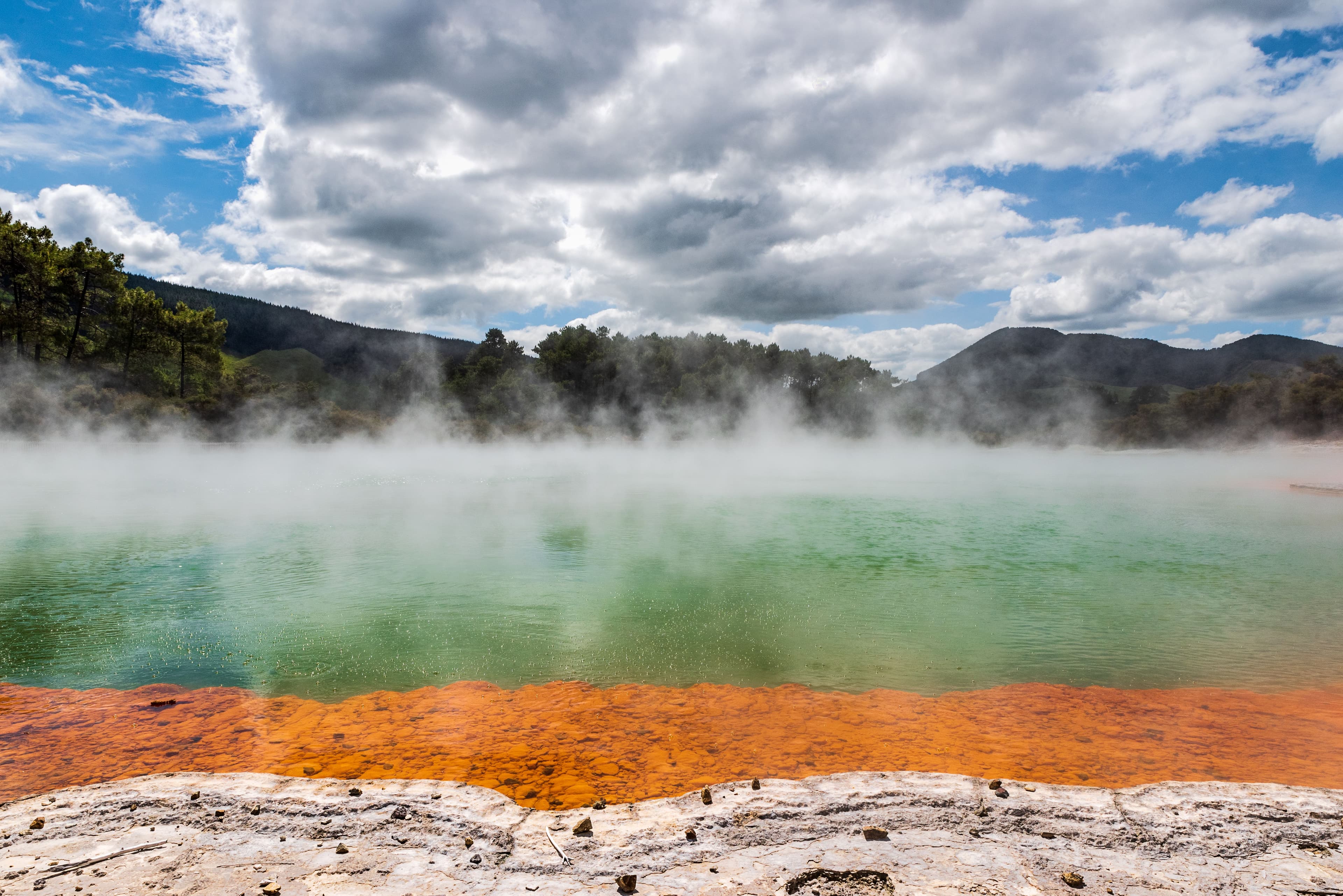 A geothermal hot spring near Rotorua, steam rising off green mineral-rich water edged with orange sinter terraces