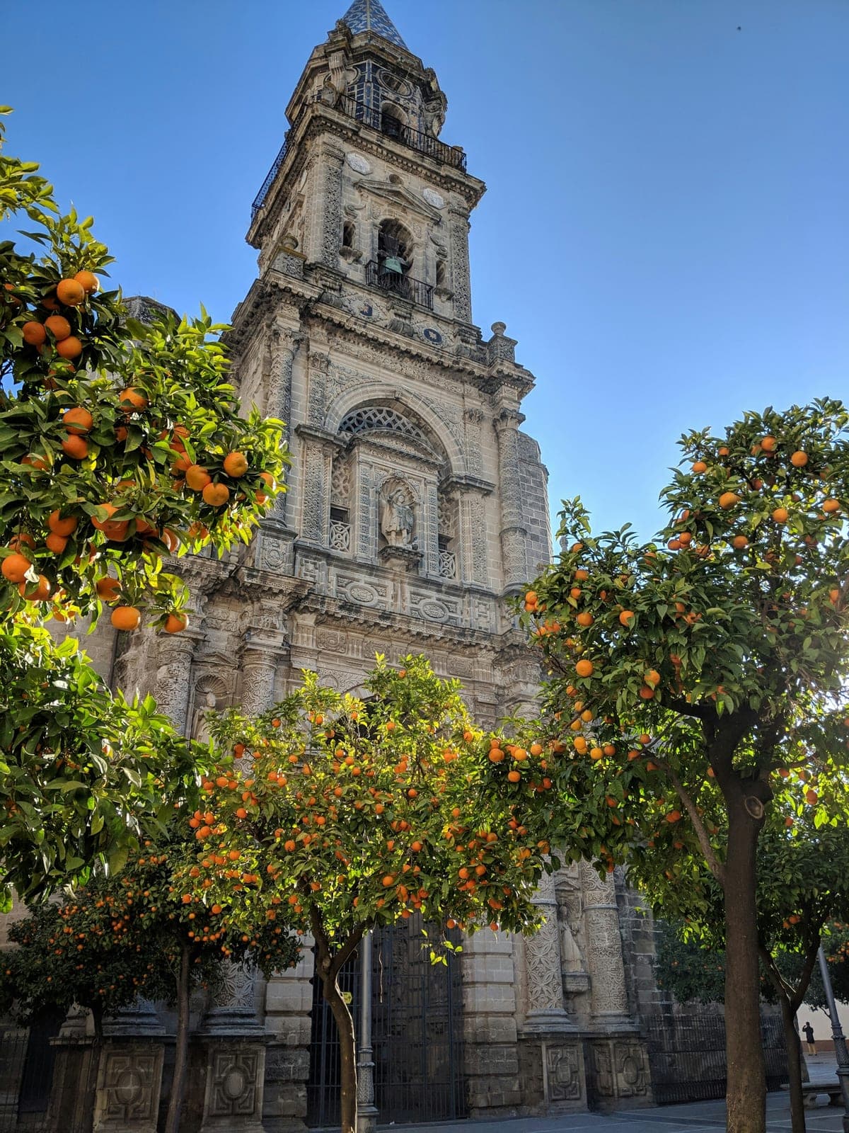 A church in Jerez de la Frontera framed by orange trees, in the old town close to the marathon finish