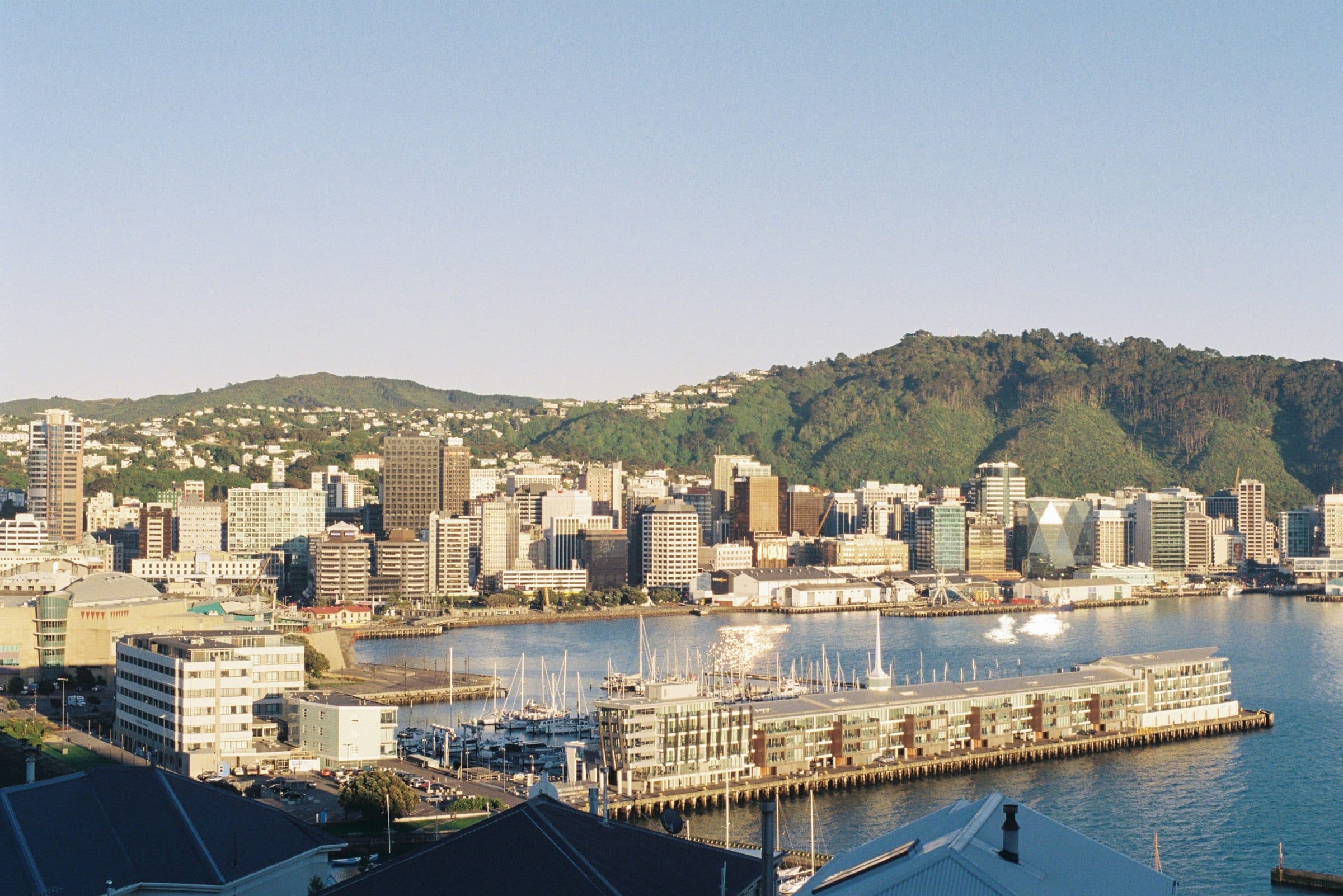 Wellington's city centre and the Queens Wharf apartments on the harbour at sunrise, seen across the water from Oriental Bay